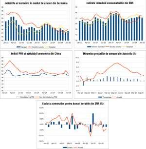 Macro Newsletter 31 Ianuarie 2025