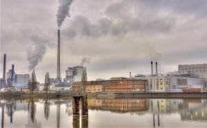 "Forever Pollutants" and Their Health Risks