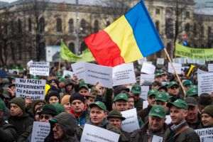 Silvicultorii anunţă protest la Ministerul Mediului, Apelor şi Pădurilor pe 26 februarie 