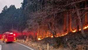 Ploaia aduce speranţe în lupta împotriva incendiilor din Japonia