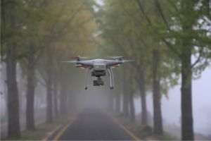 Tree Census, with Drones and Lasers