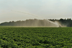 Avem nevoie de măsuri urgente pentru creşterea suprafeţelor agricole irigate