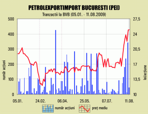 "Petrolexportimport" şi-a adâncit pierderile, pe afaceri în creştere