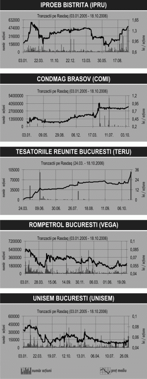 Peste 20% din "Ţesătoriile Reunite"SA au fost transferate la peste 925.000 de euro