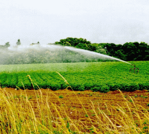 The Ministry of Agriculture is investigating the siphoning of funds intended for compensating the damages caused by floods