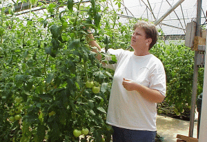 Fondurile europene din agricultură, la raport