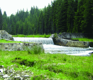 Două proiecte româneşti în programul european LIFE+