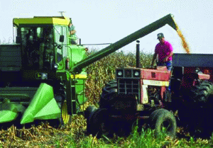 425 milioane lei - ajutoare de stat pentru agricultori