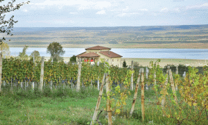 The Ştirbey princely familty has owned parts of the Drăgăşani Vineyards, located in Southern Romania, since the 18th century.