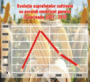 Ocupăm locul trei în Europa la culturile modificate genetic