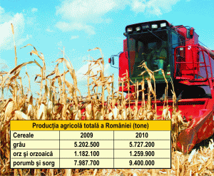 Cerealele, plasamente preferate de investitori pe timp de criză