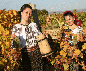 City of Focşani to host the 18th Edition of "Bachus" Vine and Winemaking Festival