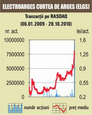 Tranzacţii cu o treime din capitalul "Electroargeş" Curtea de Argeş