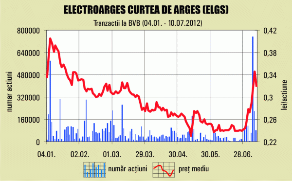 30% din titlurile "Electroargeş", blocate la Depozitarul Central