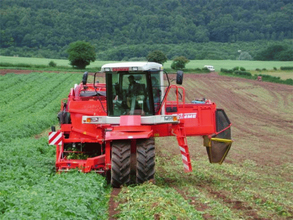 Asocierea poate salva agricultura românească