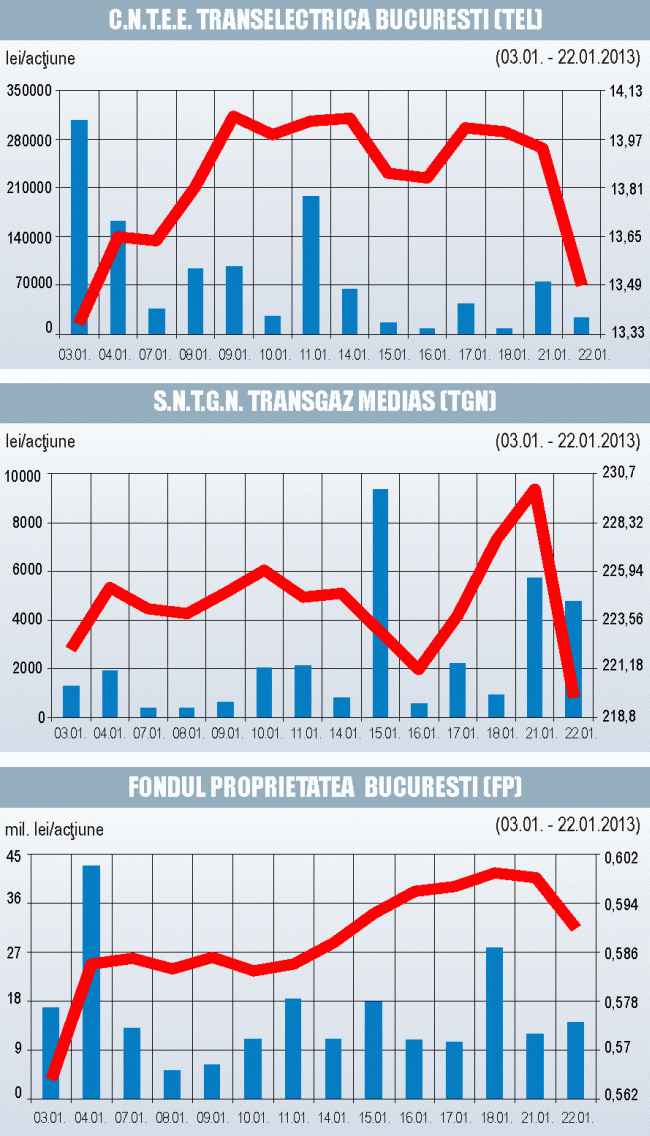 Taxa "pe monopolul natural" scade cotaţiile "Transgaz" şi "Transelectrica"