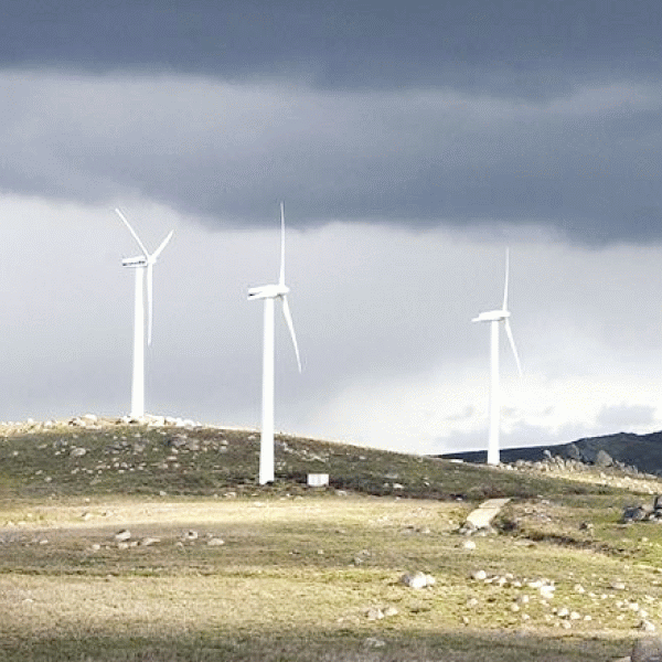 Ponta: "Investiţiile în energia verde s-au transformat într-un cazinou"