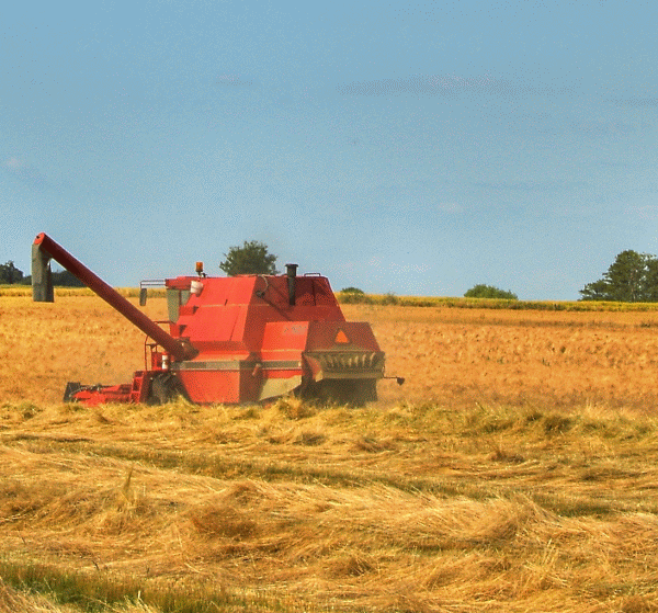 UNPR vrea prelungirea cu trei ani a interdicţiei vânzării terenurilor agricole pentru nerezidenţi