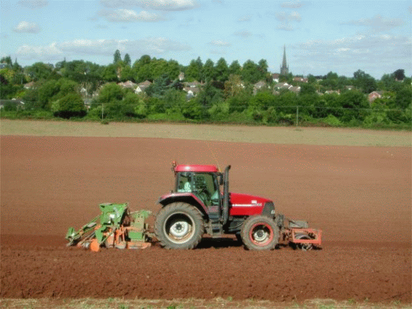 Producătorii agricoli: "Finanţele şi BNR trebuie să acorde mai multă atenţie economiei reale"