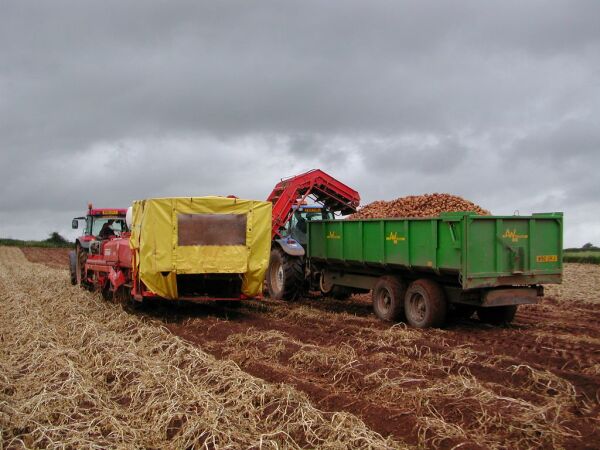  "Peste 80% din parcelele agricole - la limita încărcăturii cu nitraţi"