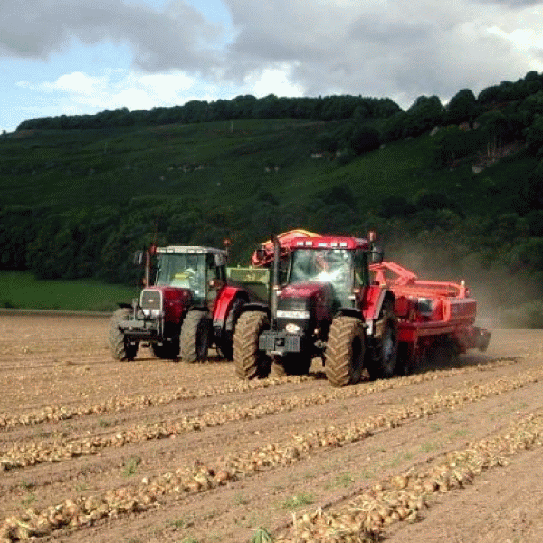 Interes sporit din partea băncilor pentru Programul Naţional de Dezvoltare Rurală