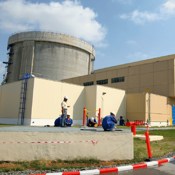 Tranşa mică din oferta Nuclearelectrica, suprasubscrisă de cinci ori