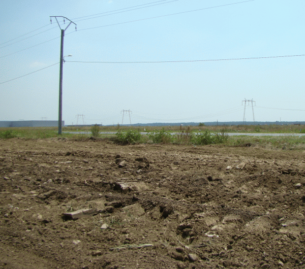 Agricultura se reia în regiunea Cernobîl