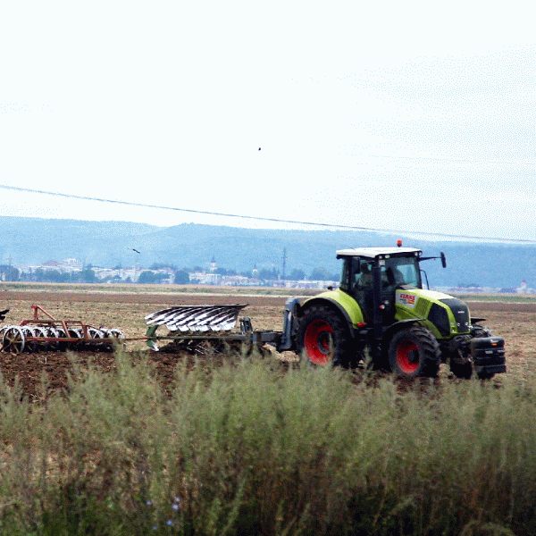 Garantarea creditelor cu terenuri agricole, efecte minime asupra fermierilor