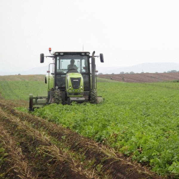 "Fermierii au nevoie mai degrabă de o bancă agricolă, nu de un fond de investiţii"