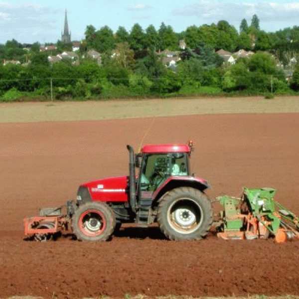 Fondul mutual pentru despăgubiri agricole, blocat la Camera Deputaţilor