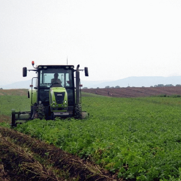 Agricultorii folosesc banii europeni pe post de capital de supravieţuire