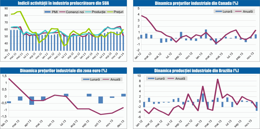 MACRO NEWSLETTER 5 februarie 2014