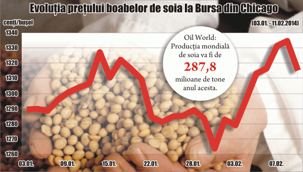 Preţul boabelor de soia, redus de producţia mare la nivel mondial