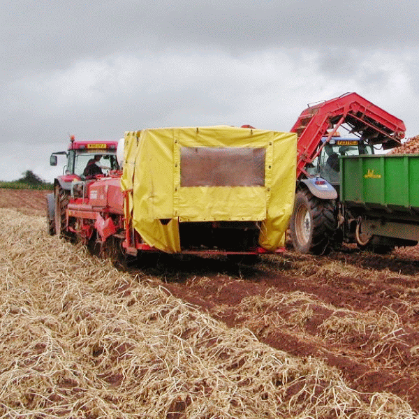 "Ministerul Agriculturii are întotdeauna porţile deschise pentru investitorii italieni"