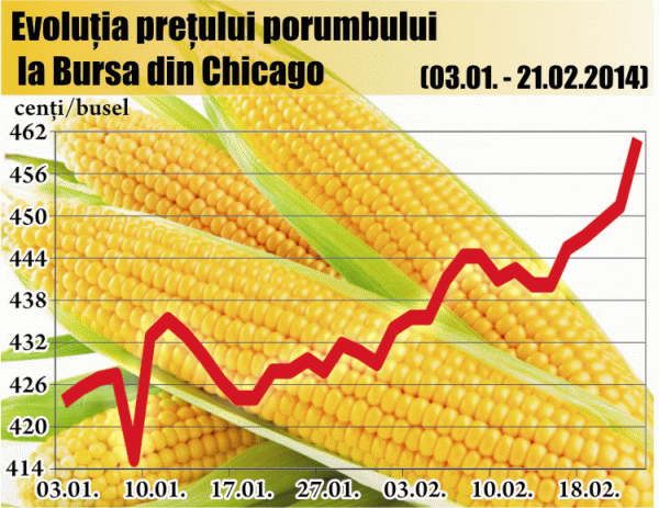 USDA: Preţul porumbului va scădea, anul acesta