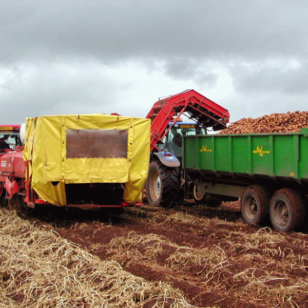 "Agricultura şi industria alimentară au contribuit cu peste 11% la PIB, anul trecut"