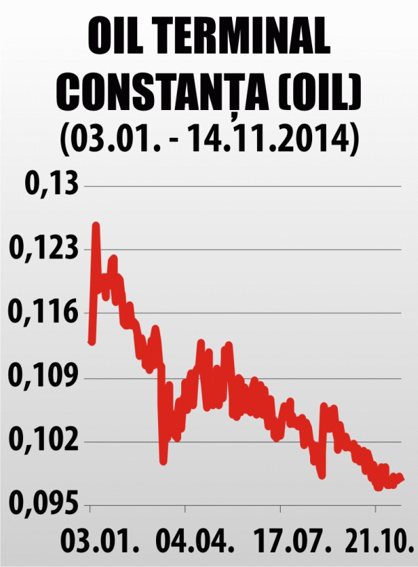 Reducerea cheltuielor cu salariile a readus Oil Terminal pe plus