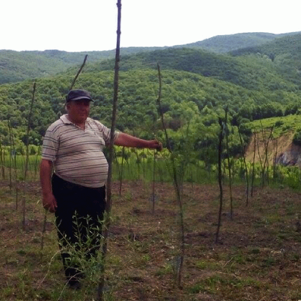 Un buzoian a investit în plantaţii de goji şi coacăze