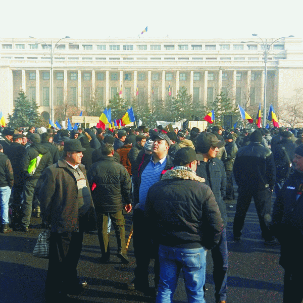 Proteste la Guvern faţă de activitatea Romsilva