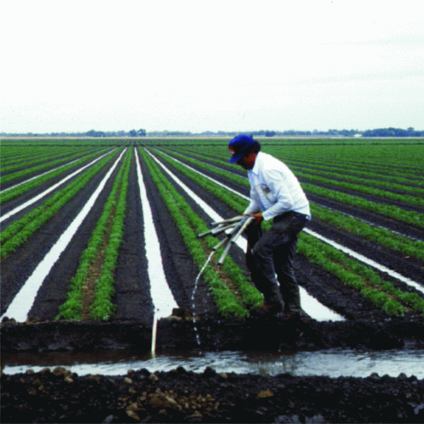 Moţiunea simplă pe agricultură va fi dezbătută lunea viitoare