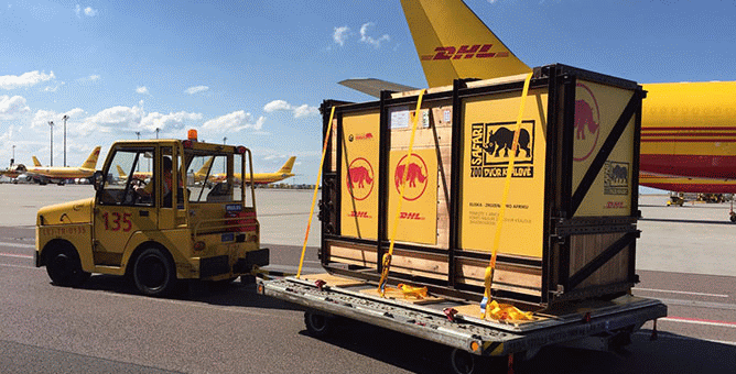 DHL a transportat un rinocer în Africa