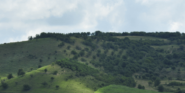 Romgaz a inaugurat o nouă instalaţie de comprimare şi uscare a gazelor naturale la Sărmăşel