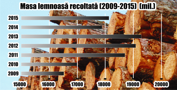 INS: "Volumul lemnului tăiat de la noi - peste 180 milioane metri cubi"