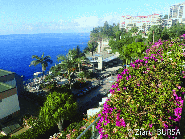 Madeira, cea mai cerută destinaţie de Revelion