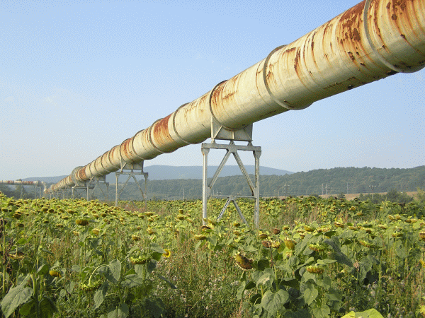 Furnizorii de apă, gaz sau curent nu au instalată aplicaţia INFP 