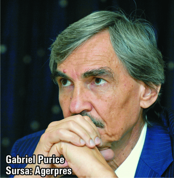 "The placement on real economic foundations of the natural gas market is the most correct solution"