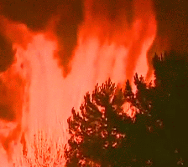 Incendiu în Portugalia (Sursa foto: Youtube)