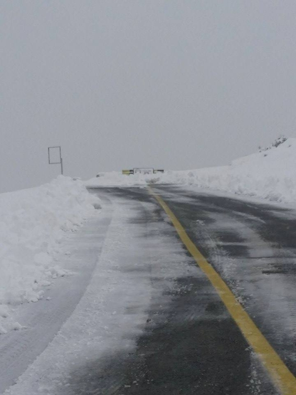 Consiliul Concurenţei, investigaţie pe piaţa serviciilor de întreţinere curentă a drumurilor şi autostrăzilor