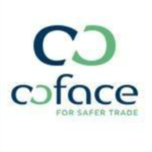 Coface Technolgies a format deja primele echipe funcţionale