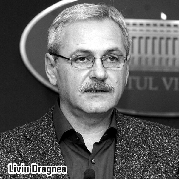 Dragnea: "Am discutat cu Klemm despre dezvoltarea componentei economice a Parteneriatului strategic"